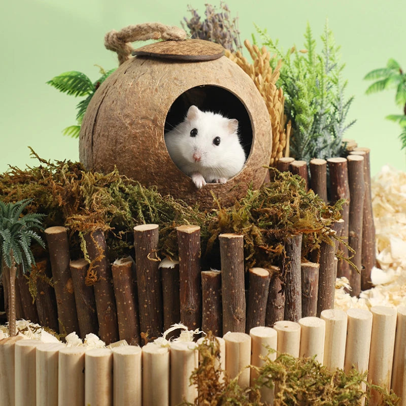 Hamster House Bite-resistant Natural Small Pet Coconut Cages Guinea-pig Hamster Hideout House Toy Wooden House Pet Supplies