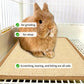 Rabbit Chew & Scratch Mat - Natural Fiber Anti-Slip Pad | Cage Bedding & Teeth Care | Small Pet Sleep & Play