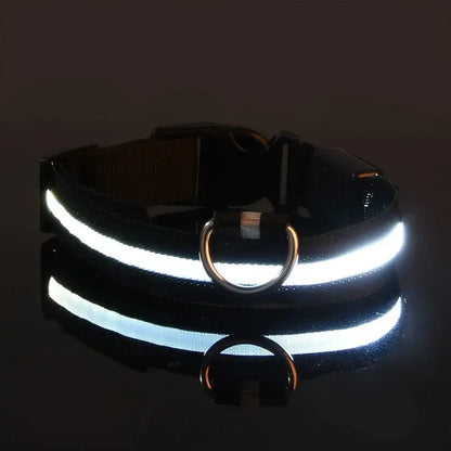 Light Up LED Pet Dog Collar Safety Night Walking Flashing Glow In The Dark LED Pet Dog Battery Collar Small Medium Large Dog