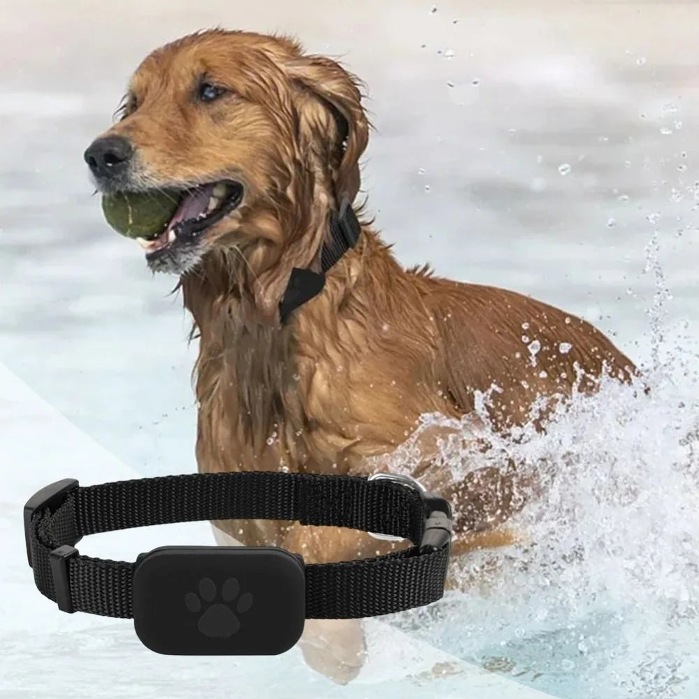 Professional Waterproof Pet GPS Tracker Collar Lost Pet Recovery IOS Android Compatible Dog Cat Locator Anti-Lost Pet Tracking