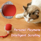 Intelligent interactive cat ball long-lasting and durable easy to clean intelligent obstacle avoidance pet dog toys