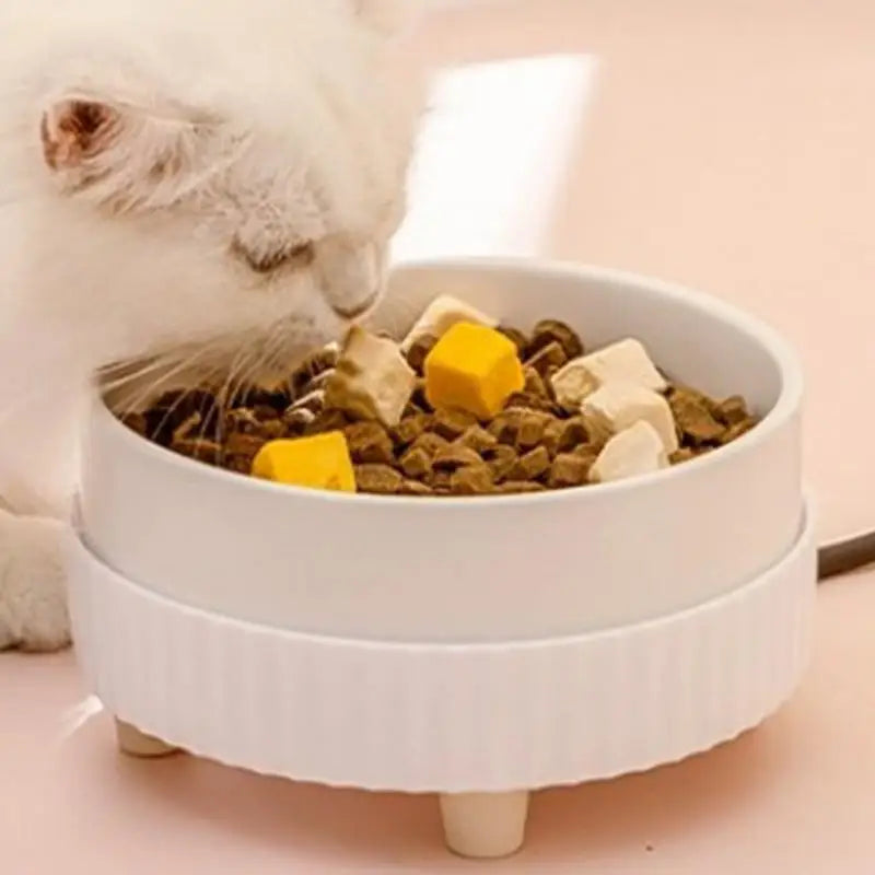 Water Indoor Container Thermal Pet USB dog Dispenser Bowl Heated Rechargeable cat Food Drinking Supplies
