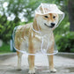 Waterproof Hooded Raincoat for Small Dogs - Soft PVC Puppy Poncho, Transparent & Stylish Pet Jacket