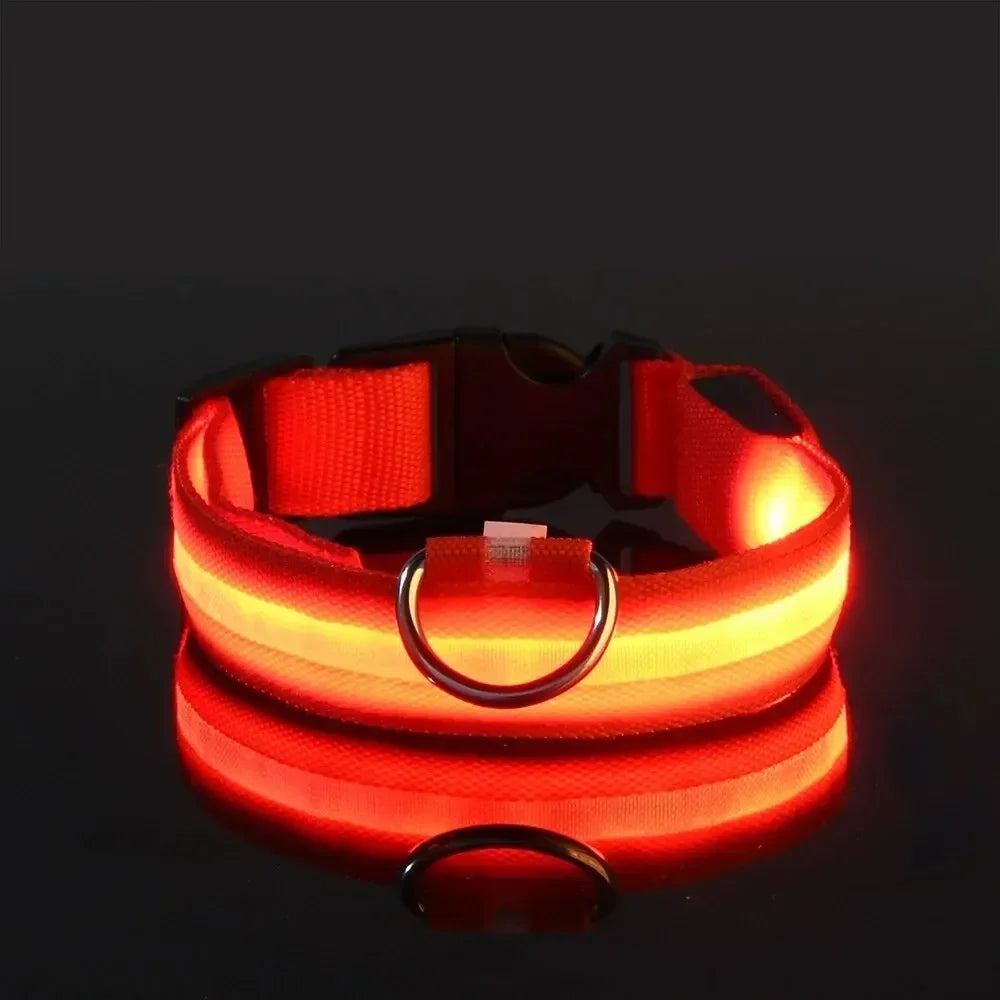 Light Up LED Pet Dog Collar Safety Night Walking Flashing Glow In The Dark LED Pet Dog Battery Collar Small Medium Large Dog
