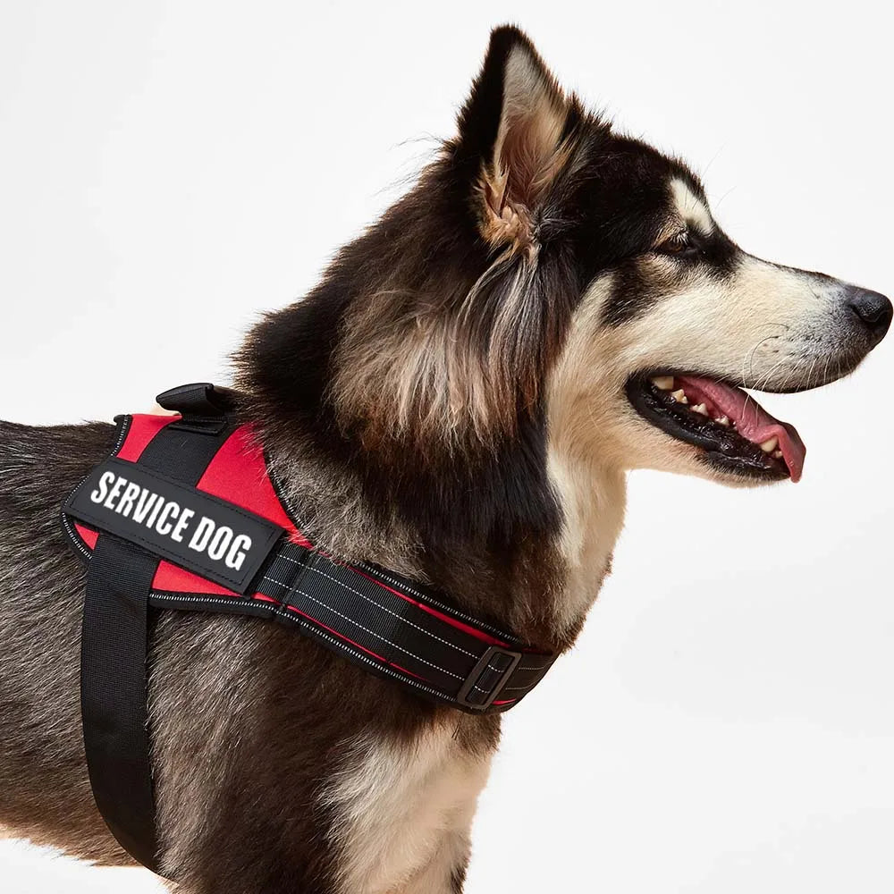 Accept Customise Patches Pet Dog Harness No Pull Reflective Saddle Adjustable Dog Walking For Small Medium And Large Dogs Vest