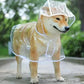Waterproof Hooded Raincoat for Small Dogs - Soft PVC Puppy Poncho, Transparent & Stylish Pet Jacket