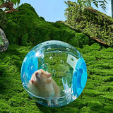 12cm Small Pet Hamster Running Ball Transparent Grounder Pet Mice Gerbil Exercise Jogging Play Toy Small Animals Supplies